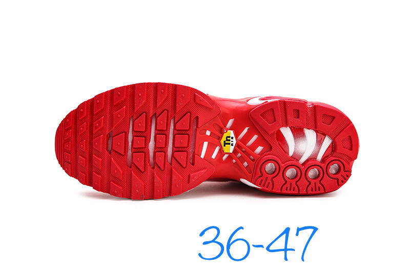 Nike Air Max TN Plus men shoes-666