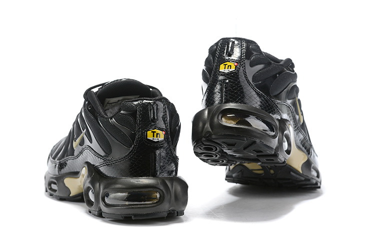 Nike Air Max TN Plus men shoes-701