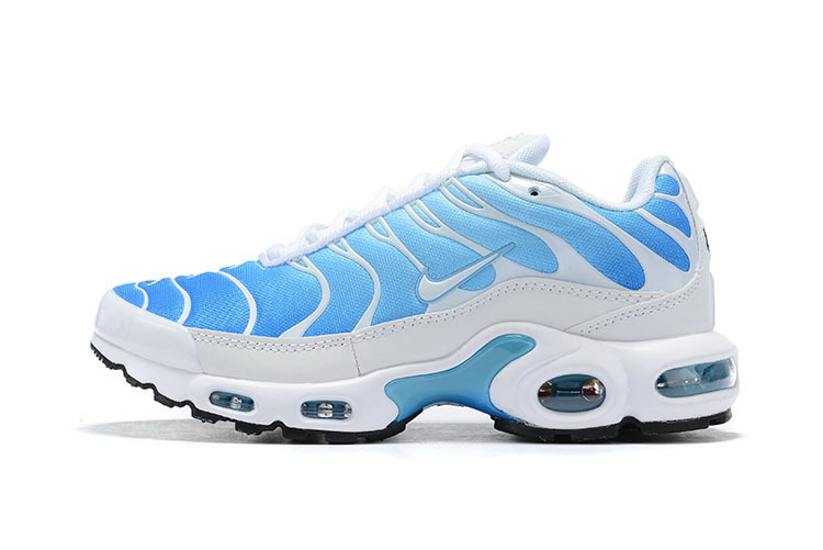 Nike Air Max TN Plus men shoes-704