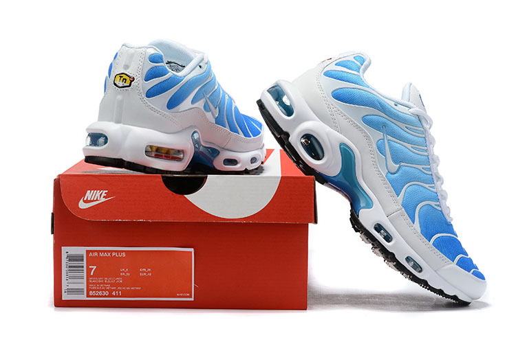 Nike Air Max TN Plus men shoes-704