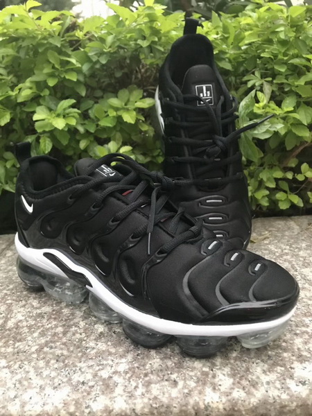 Nike Air Max TN Plus men shoes-717