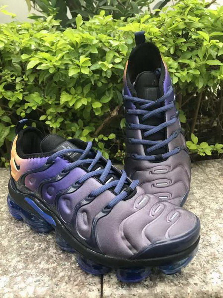 Nike Air Max TN Plus men shoes-725