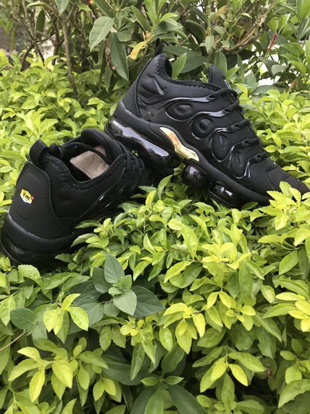 Nike Air Max TN Plus men shoes-730