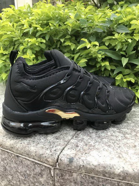 Nike Air Max TN Plus men shoes-730