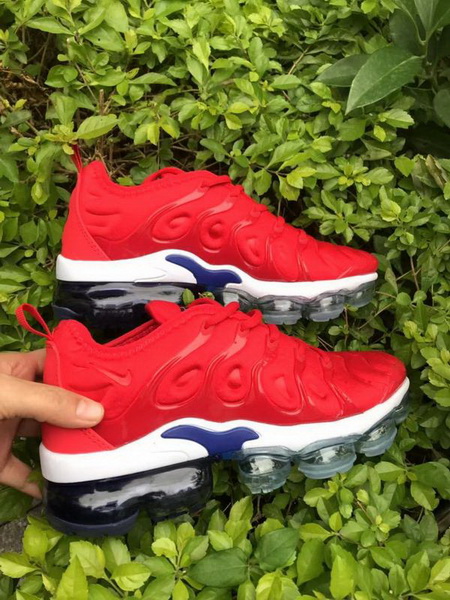 Nike Air Max TN Plus men shoes-731