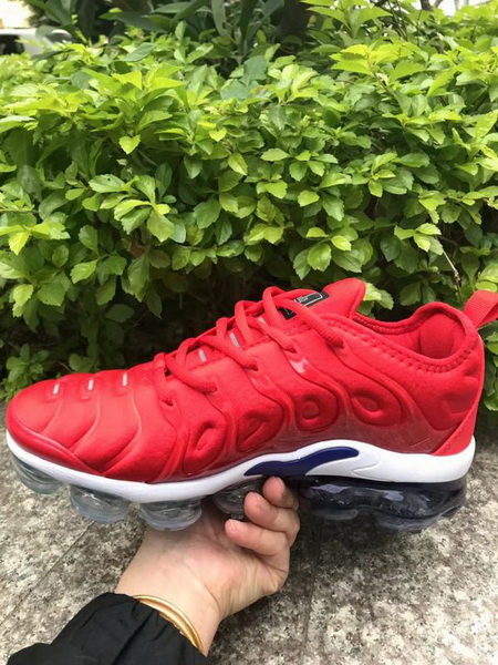 Nike Air Max TN Plus men shoes-731