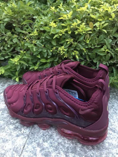 Nike Air Max TN Plus men shoes-739