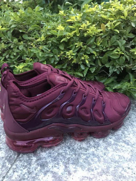 Nike Air Max TN Plus men shoes-739