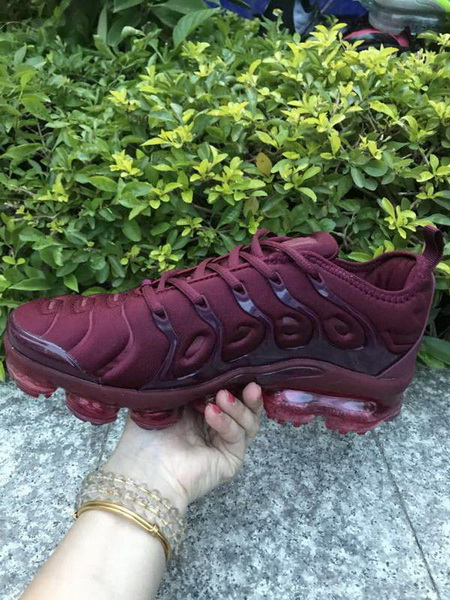 Nike Air Max TN Plus men shoes-739