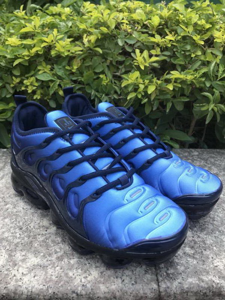 Nike Air Max TN Plus men shoes-740