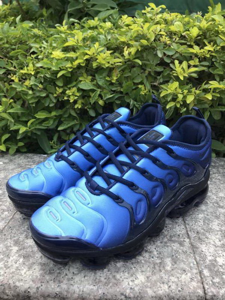 Nike Air Max TN Plus men shoes-740