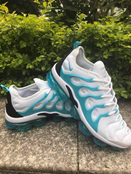 Nike Air Max TN Plus men shoes-867