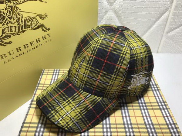 Burrerry Hats AAA-155