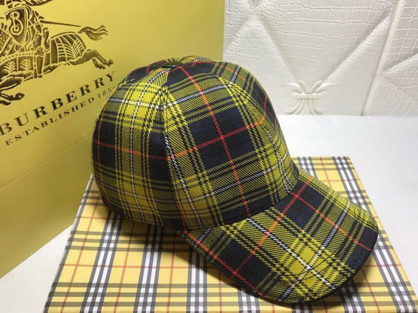 Burrerry Hats AAA-155