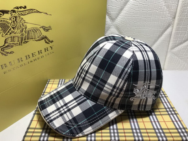 Burrerry Hats AAA-157