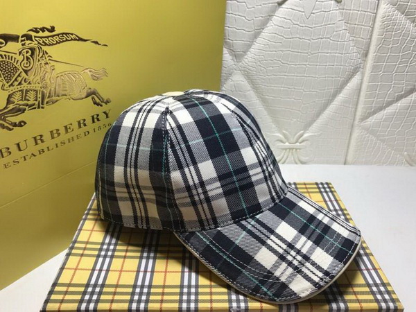 Burrerry Hats AAA-157