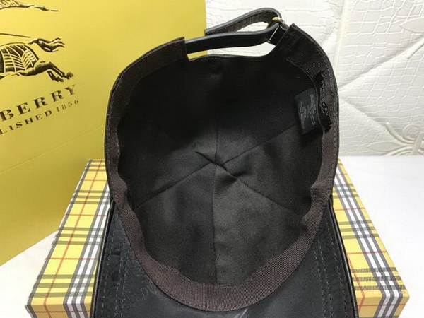 Burrerry Hats AAA-163