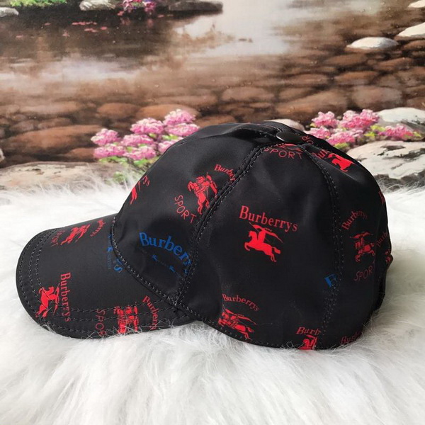 Burrerry Hats AAA-166