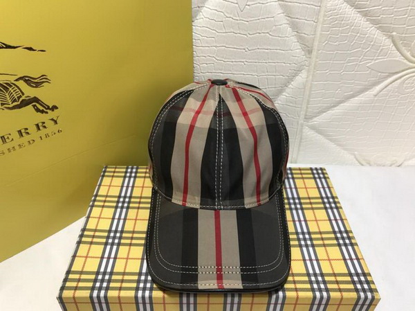 Burrerry Hats AAA-169