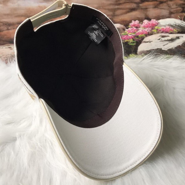 Burrerry Hats AAA-170