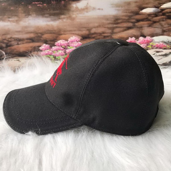 Burrerry Hats AAA-171