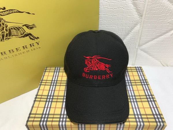 Burrerry Hats AAA-178