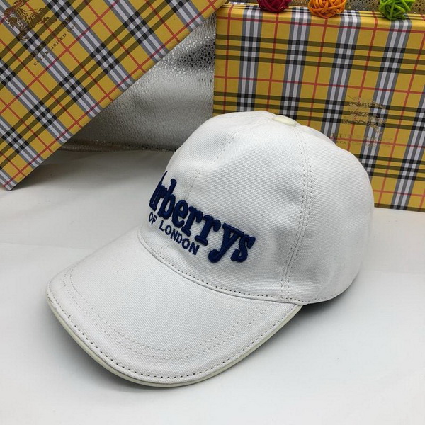 Burrerry Hats AAA-189