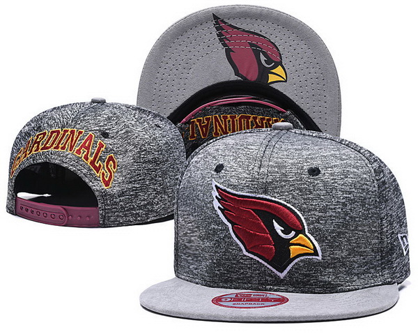 Arizona Cardinals Snapbacks-048