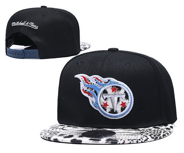 Tennessee Titans Snapbacks-019