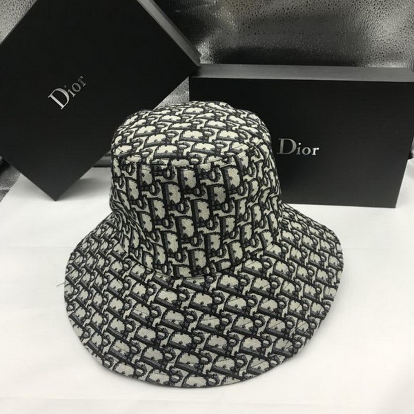 Dior Hats AAA-031