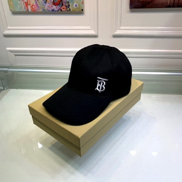 Burrerry Hats AAA-256