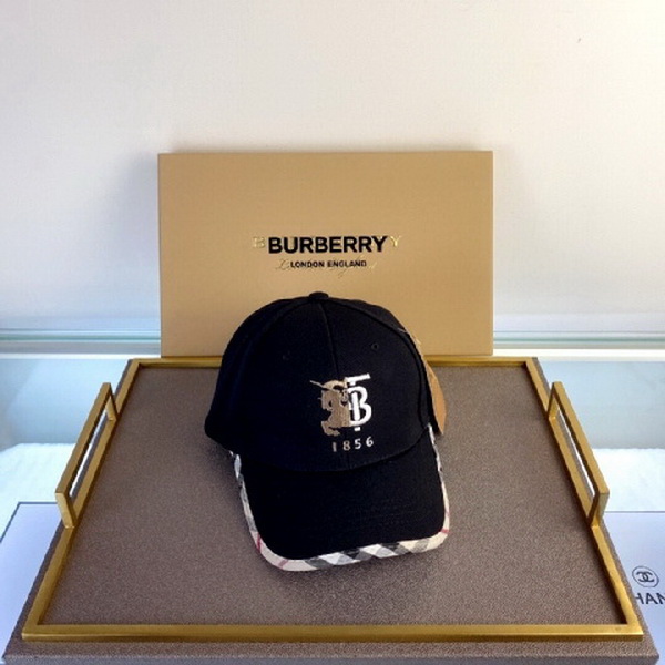 Burrerry Hats AAA-269