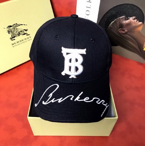 Burrerry Hats AAA-293