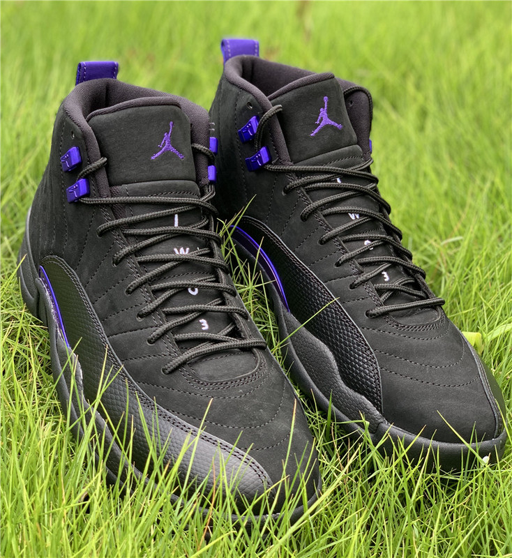 Authentic Air Jordan 12 “Dark Concord”