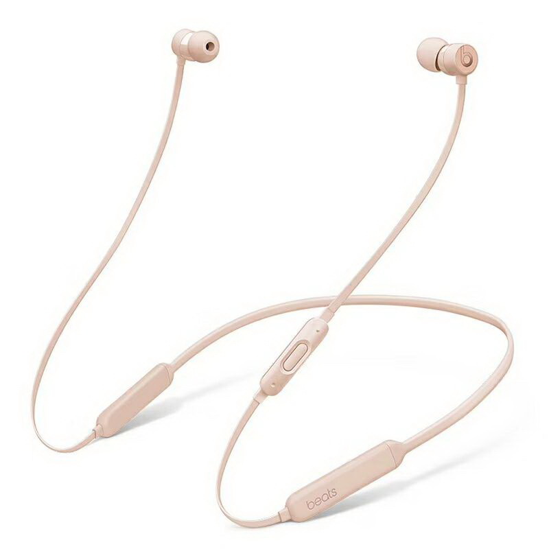 Beats X True Wireless Earphones