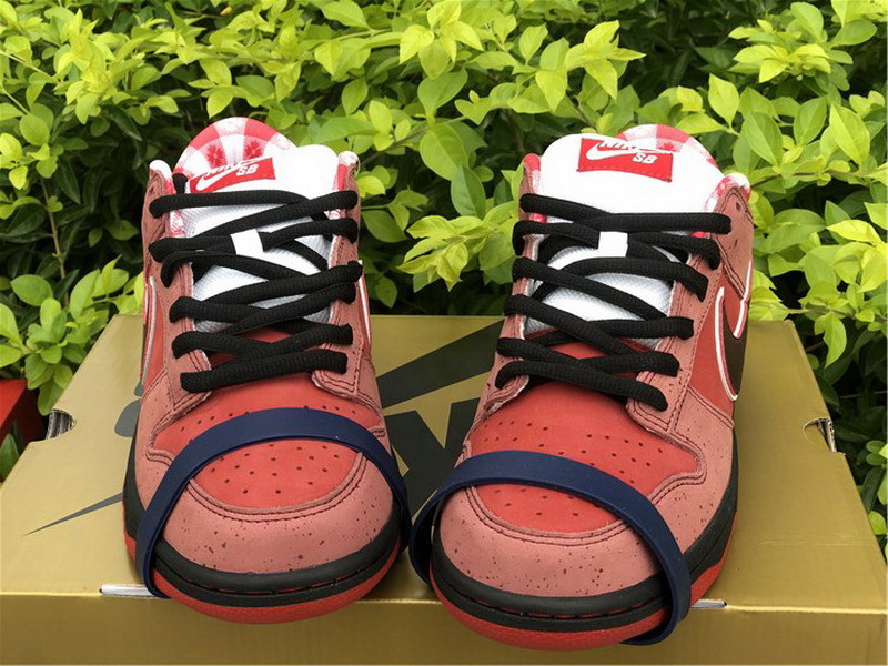 Authentic Nike Dunk Low SB Lobster Red Color