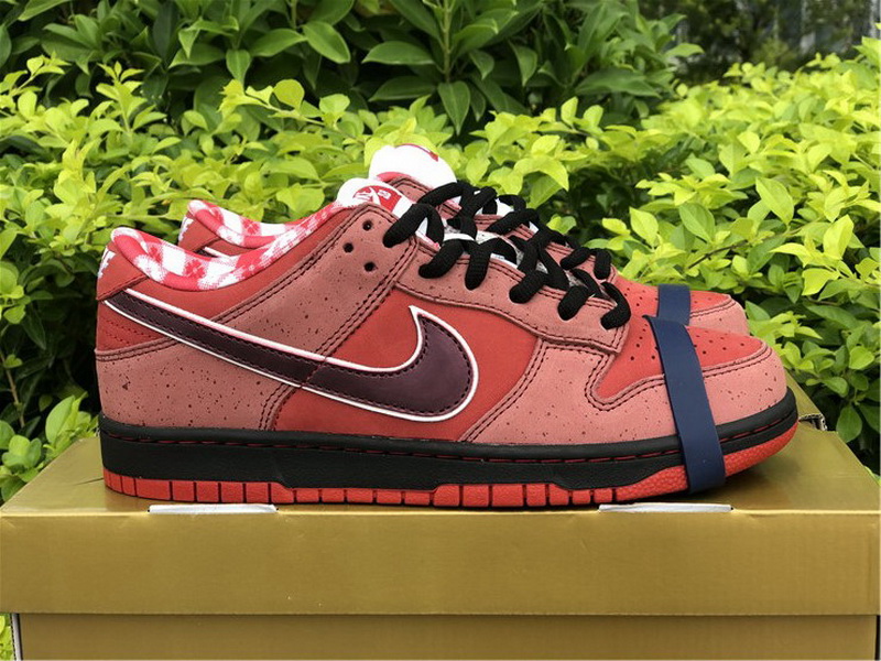 Authentic Nike Dunk Low SB Lobster Red Color