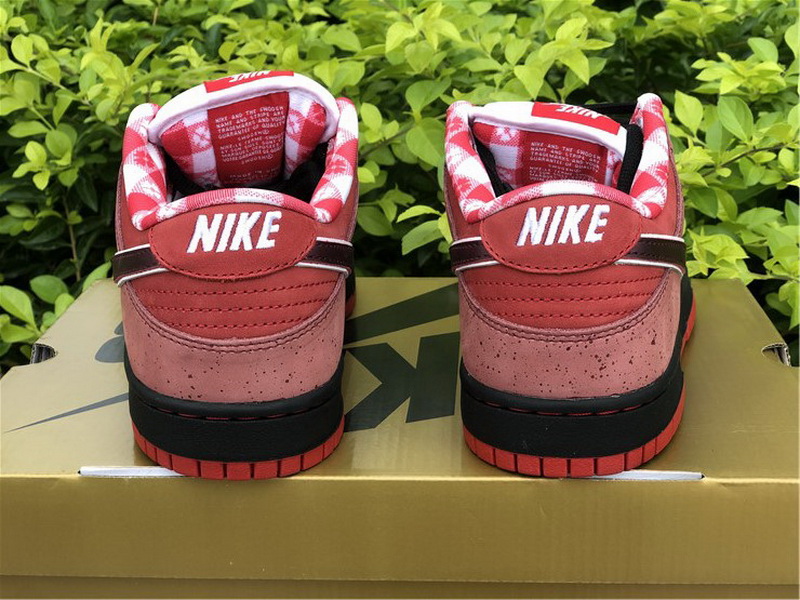 Authentic Nike Dunk Low SB Lobster Red Color