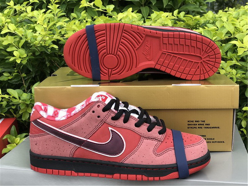 Authentic Nike Dunk Low SB Lobster Red Color