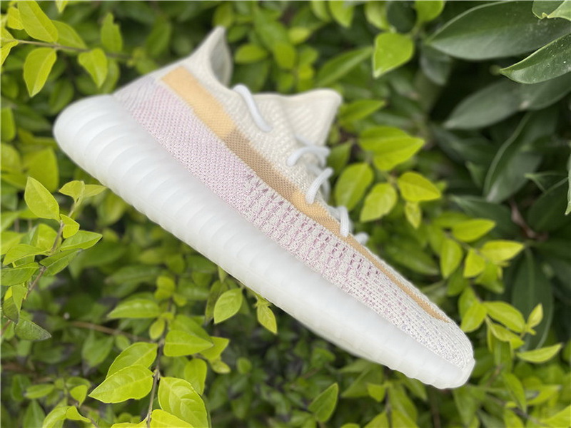 Authentic Yeezy Boost 350 V2 New Color