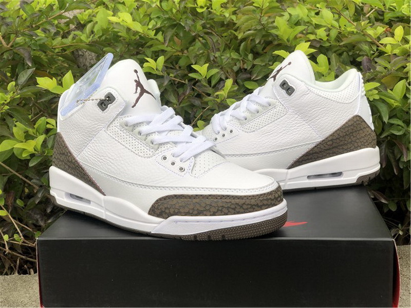 Authentic Air Jordan 3 “Mocha” 2018