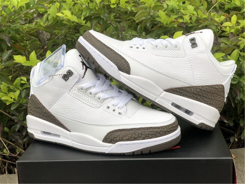 Authentic Air Jordan 3 “Mocha” 2018