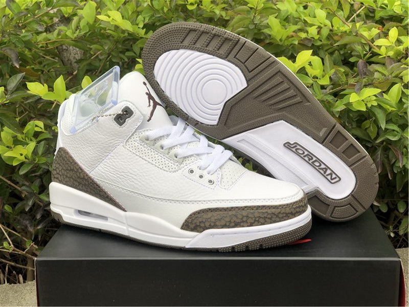 Authentic Air Jordan 3 “Mocha” 2018