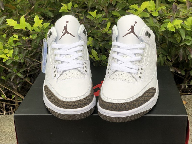 Authentic Air Jordan 3 “Mocha” 2018