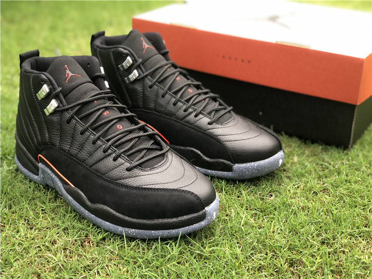 Authentic Air Jordan 12 New color