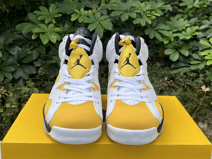 Authentic Air Jordan 6 