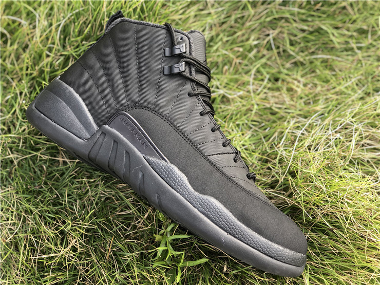 Air Jordan 12 WNTR-ZL