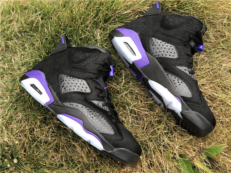 Air Jordan 6 Flint-ZL