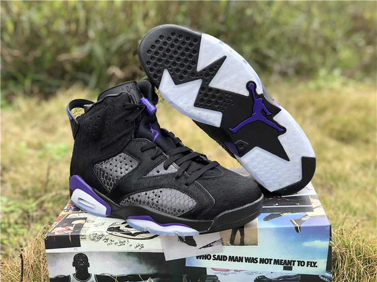 Air Jordan 6 Flint-ZL