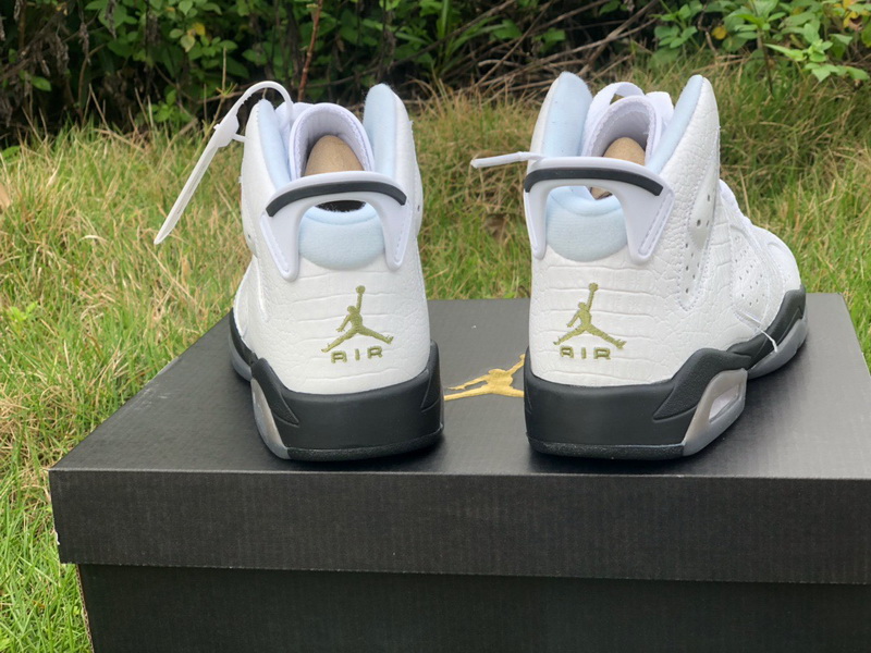 Authentic Air Jordan 6 “Alligator” GS